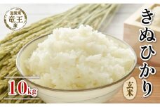 【 先行予約 】令和6年産 新米 予約 きぬひかり 玄米 10kg 米 滋賀県 竜王町 国産 農家直送 特別栽培米 キヌヒカリ 2024年産 国産 農家直送 環境こだわり お米 こめ おこめ 産地直送 送料無料