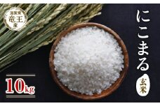 【 先行予約 】令和6年産 新米 予約 にこまる 玄米 10kg 米 滋賀県 竜王町 国産 農家直送 特別栽培米 ニコマル 2024年産 国産 農家直送 環境こだわり お米 こめ おこめ 産地直送 送料無料