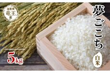 【 先行予約 】 令和7年産 新米 予約 夢ごこち 白米 5kg 米 滋賀県 竜王町 国産 農家直送 特別栽培米 ゆめごこち  2025年産 国産 農家直送 環境こだわり お米 こめ おこめ 産地直送 送料無料 滋賀県 竜王町 ふるさと納税