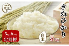 【 先行予約 】令和6年産 新米 予約 きぬひかり 白米 5kg 定期便 6ヶ月 キヌヒカリ 定期 6か月  5kg × 6回 計 30kg 米 滋賀県 竜王町 国産 農家直送 特別栽培米 2024年産 国産 農家直送 環境こだわり お米 こめ おこめ 産地直送 送料無料