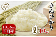 【 先行予約 】令和6年産 新米 予約 きぬひかり 白米 10kg 定期便 6ヶ月 キヌヒカリ 定期 6か月  10kg × 6回 計 60kg 米 滋賀県 竜王町 国産 農家直送 特別栽培米 2024年産 国産 農家直送 環境こだわり お米 こめ おこめ 産地直送 送料無料