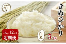 【 先行予約 】令和6年産 新米 予約 きぬひかり 白米 5kg 定期便 12ヶ月 キヌヒカリ 定期 12か月  5kg × 12回 計 60kg 米 滋賀県 竜王町 国産 農家直送 特別栽培米 2024年産 国産 農家直送 環境こだわり お米 こめ おこめ 産地直送 送料無料