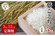 【 先行予約 】  令和7年産 新米 予約 夢ごこち 玄米 5kg 定期便 12ヶ月 ゆめごこち 定期 12か月  5kg × 12回 計 60kg 米 滋賀県 竜王町 国産 農家直送 特別栽培米 2025年産 国産 農家直送 環境こだわり お米 こめ おこめ 産地直送 送料無料 滋賀県 竜王町 ふるさと納税
