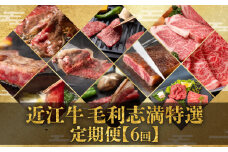 【 定期便 】 近江牛 食べ比べ 全6回 焼肉 すき焼き しゃぶしゃぶ サーロイン ステーキ 赤身 霜降り （ 定期便 肉 黒毛和牛 お弁当 ブランド 近江牛 毎月 三大和牛 滋賀県 竜王 神戸牛 松阪牛 に並ぶ 日本三大和牛 ふるさと納税）