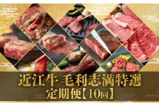 【 定期便 】 近江牛 食べ比べ 全10回 焼肉 すき焼き しゃぶしゃぶ サーロイン ステーキ 赤身 霜降り （ 定期便 肉 黒毛和牛 お弁当 ブランド 近江牛 毎月 三大和牛 滋賀県 竜王 神戸牛 松阪牛 に並ぶ 日本三大和牛 ふるさと納税）