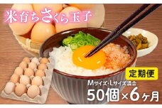 定期便 卵 50個 × 6ヶ月 ( たまご 45個 + 割れ補償 5個 ) 6回 Mサイズ Lサイズ 混合 定期便 国産 米育ち さくら玉子 さくら卵 鶏 さくら コク 濃い 卵黄 風味 とれたて 生 たまご 地産地消  国産鶏 玉子 産みたて 新鮮 黄身 卵 かけ ご飯 たまご かけ ごはん 玉子 丼  卵 焼き すき焼き 目玉 焼き 玉子 スープ 茶碗蒸し ゆで たまご サンド 滋賀県 竜王町