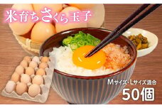 卵 50個 ( 45個 + 割れ補償 5個 ) Mサイズ Lサイズ 混合 国産 さくら玉子 米育ち さくら卵 鶏 さくら コク 濃い 卵黄 風味 米育ちさくら玉子 とれたて 生 たまご 地産地消  国産鶏 玉子 産みたて 新鮮 黄身 卵 かけ ご飯 たまご かけ ごはん 玉子 丼  卵 焼き すき焼き 目玉 焼き 玉子 スープ 茶碗蒸し ゆで たまご サンド 大容量 滋賀県 竜王町