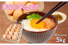 卵 5kg 割れ補償 5個 Mサイズ のみ 約 80個 国産 さくら玉子 さくら卵 鶏 米育ち さくら コク 濃い 卵黄 風味 米育ちさくら玉子 とれたて 生 たまご 地産地消  国産鶏 玉子 産みたて 新鮮 黄身 卵 かけ ご飯 たまご かけ ごはん 玉子 丼  卵 焼き すき焼き 目玉 焼き 玉子 スープ 茶碗蒸し ゆで たまご サンド 大容量 滋賀県 竜王町
