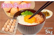 卵 5kg 割れ補償 5個 Lサイズ のみ 約 75個 国産 さくら玉子 さくら卵 鶏 さくら 米育ち コク 濃い 卵黄 風味 米育ちさくら玉子 とれたて 生 たまご 地産地消  国産鶏 玉子 産みたて 新鮮 黄身 卵 かけ ご飯 たまご かけ ごはん 玉子 丼  卵 焼き すき焼き 目玉 焼き 玉子 スープ 茶碗蒸し ゆで たまご サンド 大容量 滋賀県 竜王町