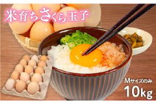卵 10kg 割れ補償 5個 Mサイズ のみ 約 160個 国産 さくら玉子 さくら卵 鶏 さくら コク 米育ち 濃い 卵黄 風味 米育ちさくら玉子 とれたて 生 たまご 地産地消  国産鶏 玉子 産みたて 新鮮 黄身 卵 かけ ご飯 たまご かけ ごはん 玉子 丼  卵 焼き すき焼き 目玉 焼き 玉子 スープ 茶碗蒸し ゆで たまご サンド 大容量 滋賀県 竜王町