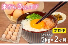 定期便 卵 5kg × 2ヶ月 割れ補償 5個 Lサイズ のみ 約 75個 × 2回 定期便 国産 米育ち さくら玉子 さくら卵 鶏 さくら コク 濃い 卵黄 風味 とれたて 生 たまご 地産地消  国産鶏 玉子 産みたて 新鮮 黄身 卵 かけ ご飯 たまご かけ ごはん 玉子 丼  卵 焼き すき焼き 目玉 焼き 玉子 スープ 茶碗蒸し ゆで たまご サンド 大容量 滋賀県 竜王町