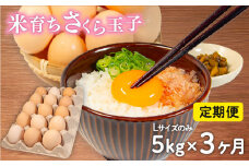 定期便 卵 5kg × 3ヶ月 割れ補償 5個 Lサイズ のみ 約 75個 × 3回 定期便 国産 米育ち さくら玉子 さくら卵 鶏 さくら コク 濃い 卵黄 風味 とれたて 生 たまご 地産地消  国産鶏 玉子 産みたて 新鮮 黄身 卵 かけ ご飯 たまご かけ ごはん 玉子 丼  卵 焼き すき焼き 目玉 焼き 玉子 スープ 茶碗蒸し ゆで たまご サンド 大容量 滋賀県 竜王町