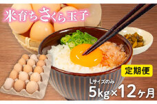 定期便 卵 5kg × 12ヶ月 割れ補償 5個 Lサイズ のみ 約 75個 × 12回 定期便 国産 米育ち さくら玉子 さくら卵 鶏 さくら コク 濃い 卵黄 風味 とれたて 生 たまご 地産地消  国産鶏 玉子 産みたて 新鮮 黄身 卵 かけ ご飯 たまご かけ ごはん 玉子 丼  卵 焼き すき焼き 目玉 焼き 玉子 スープ 茶碗蒸し ゆで たまご サンド 大容量 滋賀県 竜王町