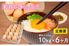 定期便 卵 10kg × 6ヶ月 割れ補償 5個 Mサイズ のみ 約 160個 × 6回 定期便 国産 米育ち さくら玉子 さくら卵 鶏 さくら コク 濃い 卵黄 風味 とれたて 生 たまご 地産地消  国産鶏 玉子 産みたて 新鮮 黄身 卵 かけ ご飯 たまご かけ ごはん 玉子 丼  卵 焼き すき焼き 目玉 焼き 玉子 スープ 茶碗蒸し ゆで たまご サンド 大容量 滋賀県 竜王町