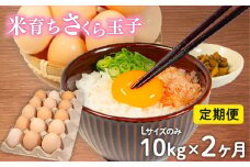 定期便 卵 10kg × 2ヶ月 割れ補償 5個 Lサイズ のみ 約 150個 × 2回 定期便 国産 米育ち さくら玉子 さくら卵 鶏 さくら コク 濃い 卵黄 風味 とれたて 生 たまご 地産地消  国産鶏 玉子 産みたて 新鮮 黄身 卵 かけ ご飯 たまご かけ ごはん 玉子 丼  卵 焼き すき焼き 目玉 焼き 玉子 スープ 茶碗蒸し ゆで たまご サンド 大容量 滋賀県 竜王町