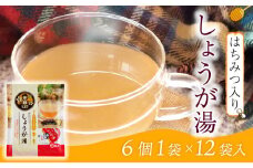 しょうが湯ポーション 12袋入り ポーション 個包装 ティー 生姜 ショウガ しょうが 茶 ジンジャー セット 12,000円 