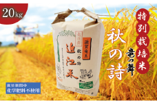 新米 【令和6年10月中旬より順次発送】 秋の詩 白米 20kg （ 10kg × 2袋） 2024年産 竜の舞 化学肥料不使用 特別栽培米 国産 安心 安全 近江米 米 お米 白米 お弁当 玄米 産地直送 滋賀県 竜王町 送料無料