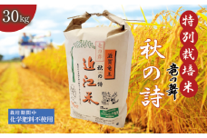 新米 【令和6年10月中旬より順次発送】 秋の詩 白米 30kg （ 10kg × 3袋） 2024年産 竜の舞 化学肥料不使用 特別栽培米 国産 安心 安全 近江米 米 お米 白米 お弁当 玄米 産地直送 滋賀県 竜王町 送料無料