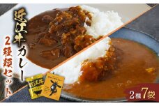 近江牛 カレー 2種 セット　澤井姫和牛 ( 近江牛 ) カレー  200g × 2袋 近江牛 カレー 160g × 5袋 セット 計 7袋 カレー【 レトルト カレー 近江牛 カレー 黒毛和牛 牛肉 1200g 肉 ギフト 自宅用 高級 黒毛和牛 国産 ごはんのお供 ふるさと納税 ブランド牛 三大和牛 和牛 贈り物 神戸牛 松阪牛 に並ぶ 日本三大和牛 滋賀県 竜王町 澤井牧場 送料無料 】