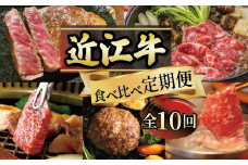 【定期便】 近江牛 食べ比べ 全10回 ( すき焼き しゃぶしゃぶ ステーキ ハンバーグ 近江牛 ブランド牛 近江牛 牛肉  贈り物 ギフト 国産  滋賀県  竜王町 赤身 霜降り 神戸牛 松阪牛 に並ぶ 日本三大和牛 ふるさと納税 )（ 年末 福袋 年賀 お歳暮 クリスマス 鍋 年越し ギフト お年玉 プレゼント グルメ セット ）