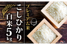 新米 【順次発送】 プレミアム米 こしひかり 白米 5kg 2024年産 農薬不使用 化学肥料不使用 特別栽培米 竜の舞 国産 安心 安全 近江米 米 お米 白米 お弁当 玄米 産地直送 滋賀県 竜王町 送料無料 プレミアム プレミア コシヒカリ