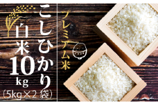 新米 【順次発送】 プレミアム米 こしひかり 白米 10kg ( 5kg ×2 袋 ) 2024年産 農薬不使用 化学肥料不使用 特別栽培米 竜の舞 国産 安心 安全 近江米 米 お米 白米 お弁当 玄米 産地直送 滋賀県 竜王町 送料無料 プレミアム プレミア コシヒカリ