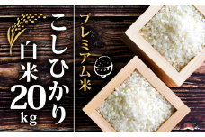 新米 【順次発送】 プレミアム米 こしひかり 白米 20kg 2024年産 農薬不使用 化学肥料不使用 特別栽培米 竜の舞 国産 安心 安全 近江米 米 お米 白米 お弁当 玄米 産地直送 滋賀県 竜王町 送料無料 プレミアム プレミア コシヒカリ