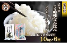 令和6年産 定期便 10kg 全6回 ミルキークイーン  + 6品種 食べ比べ ( こしひかり みずかがみ にじのきらめき あきたこまち キヌヒカリ ほしじるし ) 全7品種 白米 各 5㎏ × 2袋 3ヶ月 近江米  国産 お米 米 おこめ ごはん ご飯 白飯 しろめし こめ ゴハン 御飯 滋賀県産 竜王 ふるさと ランキング 人気 おすすめ
