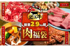 【数量限定】 近江牛 福袋 4種類 総量 2.9kg超 肉 切り落とし 550g すき焼き用 ロース 500g 近江小判ハンバーグ 15個 ビーフシチュー 250g × 3袋 豪華 一度に届く 冷凍 ギフト 肉 お取り寄せ 黒毛和牛 贈答用 ごはんのお供 三大和牛 ハンバーグ 惣菜 ブランド おかず 贈り物 自宅用 滋賀県 竜王町 岡喜 ふるさと納税 神戸牛 松阪牛 に並ぶ 日本三大和牛 お歳暮