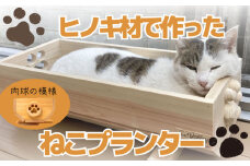 【大サイズ】 ねこ 桧 プランター 木製プランター 猫 プランター 小物入れ セット 丸 の 模様 サイズ 大 寄せ植え 室内 屋内 室内用 猫のベッド 木製 プランター  ペットベッド  猫ベッド  鉢カバー 木 長方形 ひのき おしゃれ かわいい ガーデニング ガーデニング雑貨 園芸 滋賀県 竜王町