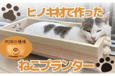 【小サイズ】 ねこ 桧 プランター 木製プランター 猫 プランター 小物入れ セット 丸 の 模様 サイズ 小 寄せ植え 室内 屋内 室内用 猫のベッド 木製 プランター  ペットベッド  猫ベッド  鉢カバー 木 長方形 ひのき おしゃれ かわいい ガーデニング ガーデニング雑貨 園芸 滋賀県 竜王町