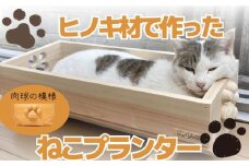 【大サイズ】 ねこ 桧 プランター 木製プランター 猫 プランター 小物入れ セット 手 (正面) の 模様 サイズ 大 寄せ植え 室内 屋内 室内用 猫のベッド 木製 プランター  ペットベッド  猫ベッド  鉢カバー 木 長方形 ひのき おしゃれ かわいい ガーデニング ガーデニング雑貨 園芸 滋賀県 竜王町