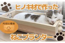  【小サイズ】ねこ 桧 プランター 木製プランター 猫 プランター 小物入れ セット 手 (正面) の 模様 サイズ 小 寄せ植え 室内 屋内 室内用 猫のベッド 木製 プランター  ペットベッド  猫ベッド  鉢カバー 木 長方形 ひのき おしゃれ かわいい ガーデニング ガーデニング雑貨 園芸 滋賀県 竜王町