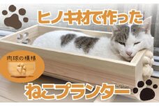 【小サイズ】 ねこ 桧 プランター 木製プランター 猫 プランター 小物入れ セット 手 (斜め) の 模様 サイズ 小 寄せ植え 室内 屋内 室内用 猫のベッド 木製 プランター  ペットベッド  猫ベッド  鉢カバー 木 長方形 ひのき おしゃれ かわいい ガーデニング ガーデニング雑貨 園芸 滋賀県 竜王町