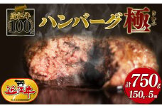 近江牛 100％ ハンバーグ 150g × 5個 黒毛和牛 ブランド 肉 三大和牛 贈り物 ギフト 滋賀県 竜王町 古株牧場 神戸牛 松阪牛 に並ぶ 日本三大和牛 ふるさと納税 