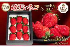 特撰 竜王 いちご 450g 以上 2箱 章姫 紅ほっぺ よつぼし かおり野 みおしずく はるひ すず あまえくぼ おいCベリー 2パック 計 900g 章姫 紅ほっぺ 大粒 苺 旬 産地 直送 フレッシュ イチゴ フルーツ 果物 国産 ベリー 贈答用 プレゼント 2025年1月より順次発送予定 滋賀県 竜王町 人気苺 ふるさと納税苺 ふるさと苺 furusato苺 おすすめ苺 送料無料