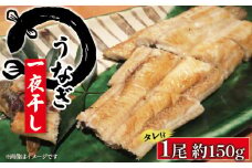 うなぎの一夜干し150g 1尾 