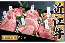 【6月発送】近江牛 焼肉 特上 盛り合わせ 480g 冷凍 シャトーブリアン A4 A5 ( 近江牛 サーロイン フィレ ヘレ 希少部位 ミスジ クラシタ イチボ ヒウチ ササバラ ラムシン 等 赤身 和牛 近江牛 黒毛和牛 ブランド 牛肉 近江牛 贈り物 ギフト 国産 滋賀県 近江牛 竜王町 岡喜 霜降り 神戸牛 松阪牛 に並ぶ 日本三大和牛 ふるさと納税 母の日 父の日 )