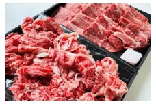 【9月お届け】【近江牛 おうち焼肉と切落しセット 1kg】肉 牛肉 ブランド牛 三大和牛 和牛 黒毛和牛 焼肉 バーベキュー お弁当 おかず お惣菜 贈り物 ギフト プレゼント 冷凍 滋賀県 竜王