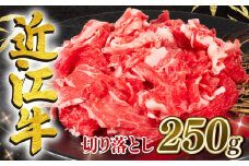 【8月発送】 近江牛 切り落とし 250g 冷凍 黒毛和牛 （ 和牛 ブランド 牛 牛肉 三大和牛 切り落し 牛丼 カレー 惣菜 おかず 切落し 贈り物 ギフト 国産 滋賀県 竜王町 岡喜 神戸牛 松阪牛 に並ぶ 日本三大和牛 ふるさと納税 ）