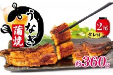 国産 うなぎ 蒲焼 180g×2尾 約360g タレ付  ( グルメ うなぎ 冷凍 鰻 新鮮 たれ  土曜 丑の日 真空パック おすすめ 滋賀県 竜王 送料無料 )