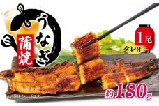 【土用の丑の日】 国産 うなぎ 蒲焼 180g タレ付 冷凍  ( グルメ うなぎ 鰻 新鮮 たれ 土曜 丑の日 真空パック おすすめ 滋賀県 竜王 送料無料 ) 