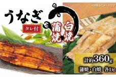 うなぎ 白焼・蒲焼 セット 180g × 2尾 計約360g タレ付 冷凍 ( グルメ うなぎ 鰻 新鮮 たれ  土曜 丑の日 真空パック おすすめ 滋賀県 竜王 送料無料 )