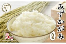 【 先行予約 】 令和7年産 新米 予約 みずかがみ 白米 5kg 米 滋賀県 竜王町 国産 農家直送 特別栽培米 ミズカガミ  2025年産 国産 農家直送 環境こだわり お米 こめ おこめ 産地直送 送料無料 滋賀県 竜王町 ふるさと納税