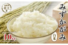 【 先行予約 】 令和7年産 新米 予約 みずかがみ 白米 10kg 米 滋賀県 竜王町 国産 農家直送 特別栽培米 ミズカガミ 2025年産 国産 農家直送 環境こだわり お米 こめ おこめ 産地直送 送料無料 滋賀県 竜王町 ふるさと納税