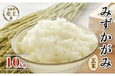 【 先行予約 】 令和7年産 新米 予約 みずかがみ 玄米 10kg 米 滋賀県 竜王町 国産 農家直送 特別栽培米 ミズカガミ 2025年産 国産 農家直送 環境こだわり お米 こめ おこめ 産地直送 送料無料 滋賀県 竜王町 ふるさと納税