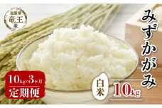 【 先行予約 】 令和7年産 新米 予約 みずかがみ 白米 10kg 定期便 3ヶ月 みずかがみ 定期 3か月  10kg × 3回 計 30kg 米 滋賀県 竜王町 国産 農家直送 特別栽培米 ミズカガミ  2025年産 国産 農家直送 環境こだわり お米 こめ おこめ 産地直送 送料無料 滋賀県 竜王町 ふるさと納税