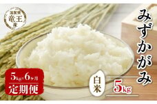 【 先行予約 】 令和7年産 新米 予約 みずかがみ 白米 5kg 定期便 6ヶ月 みずかがみ 定期 6か月  5kg × 6回 計 30kg 米 滋賀県 竜王町 国産 農家直送 特別栽培米 ミズカガミ  2025年産 国産 農家直送 環境こだわり お米 こめ おこめ 産地直送 送料無料 滋賀県 竜王町 ふるさと納税