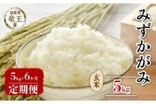 【 先行予約 】 令和7年産 新米 予約 みずかがみ 玄米 5kg 定期便 6ヶ月 みずかがみ 定期 6か月  5kg × 6回 計 30kg 米 滋賀県 竜王町 国産 農家直送 特別栽培米 ミズカガミ  2025年産 国産 農家直送 環境こだわり お米 こめ おこめ 産地直送 送料無料 滋賀県 竜王町 ふるさと納税