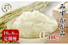 【 先行予約 】 令和7年産 新米 予約 みずかがみ 玄米 10kg 定期便 6ヶ月 みずかがみ 定期 6か月  10kg × 6回 計 60kg 米 滋賀県 竜王町 国産 農家直送 特別栽培米 ミズカガミ  2025年産 国産 農家直送 環境こだわり お米 こめ おこめ 産地直送 送料無料 滋賀県 竜王町 ふるさと納税